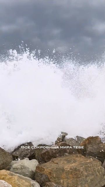 Говорю я, спасибо судьбе и не сходит улыбка с лица... #сергейлюбавин #shortsmusic #музыкадлядуши смотреть онлайн