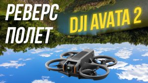 РЕВЕРСИВНЫЙ полет на FPV дроне DJI Avata 2 😎 Аэросъемка 4К 100 кадров D-log M + Freewell фильтры🔥