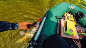 Как ловить судака с лодки в корягах в начале лета. Ловля судака с лодки на джиг[Пора ловить судака]