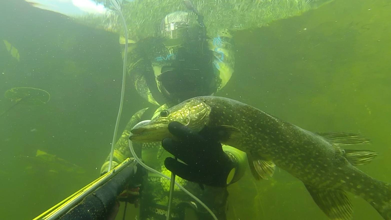 Подводная охота на малой реке Сплав Трудовой поиск рыбы с арбалетом смотреть онлайн