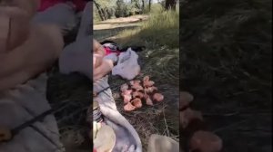 Рыбалка с Безумным Пашей и Иришкой Чики Пики.