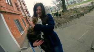 КОРОЧЕ ГОВОРЯ, УКРАЛИ КОТИКА [От первого лица] НУЖНА ПОМОЩЬ!