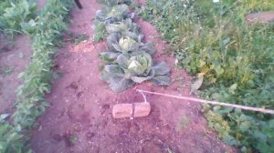 Якорь мечта.Полевые испытания.Самоделки.