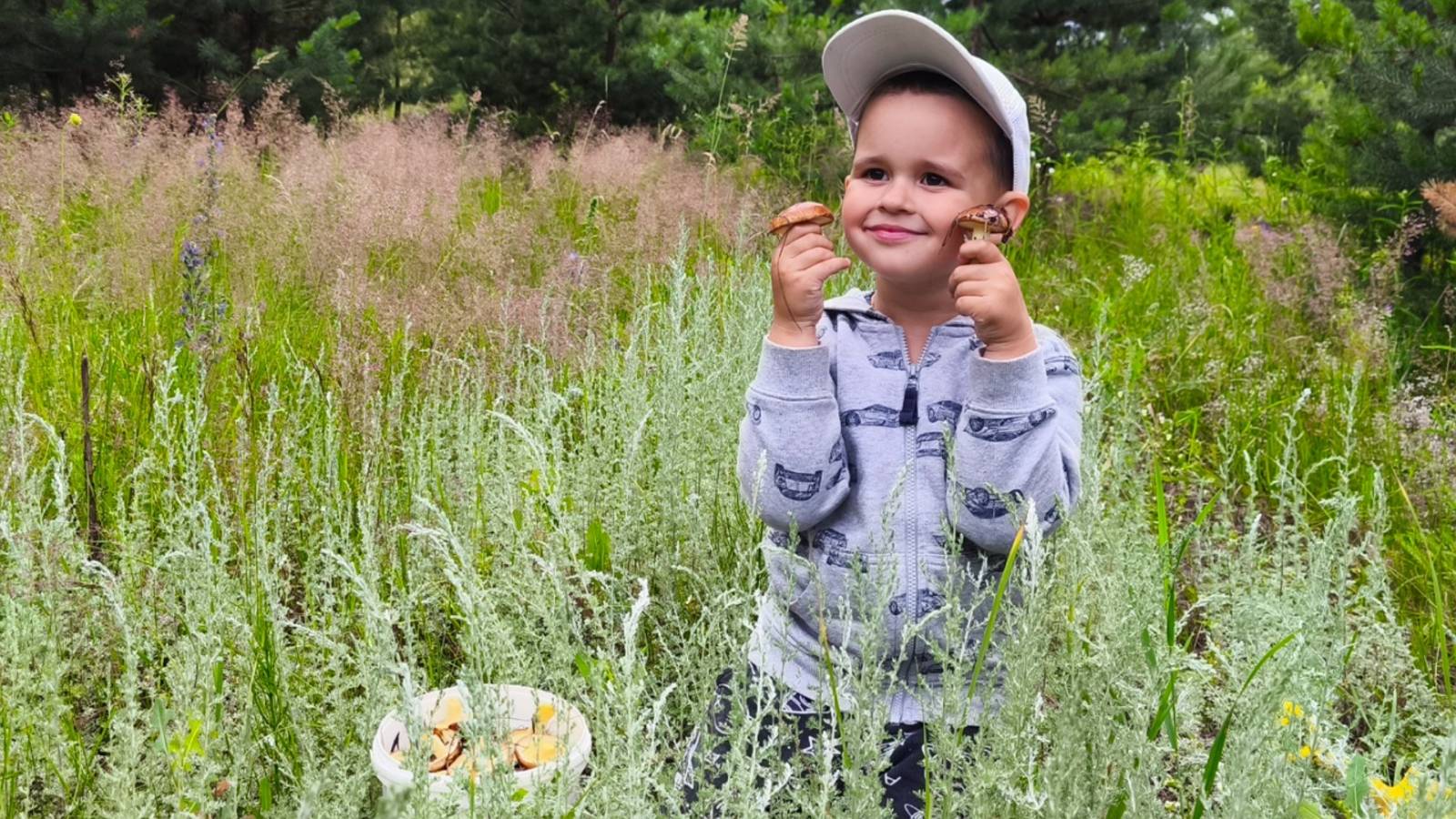 ДОЖДАЛИСЬ!!!! ГРИБОВ В ЛЕСУ ПОЛНО. Семейный сбор грибов 2025 смотреть онлайн