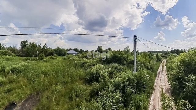 2459247 смотреть онлайн