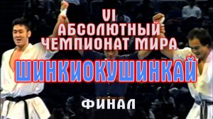 VI Абсолютный Чемпионат Мира по Шинкиокушинкай(финал)
