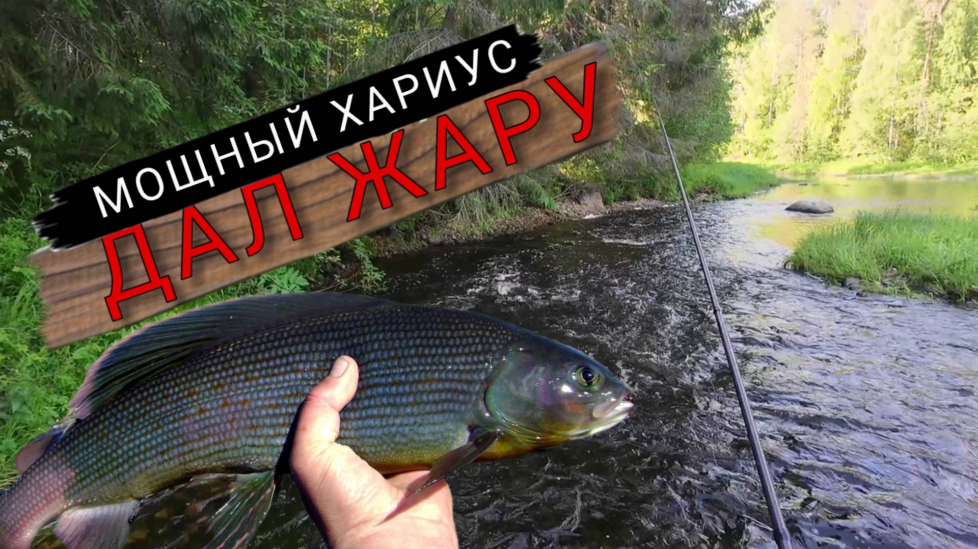 Мощная быстрина с крупным хариусом. Еле вытащил его. Рыбалка на поплавок смотреть онлайн