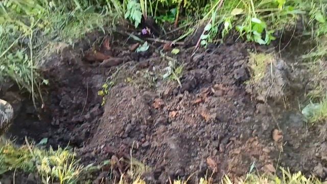 Коп монет на фундаменте. Коп в деревне с ночевкой. Поиск монет. смотреть онлайн