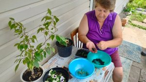 30-06-2025Сегодня мы отдыхаем. О том, о сëм. Жизнь станичная.