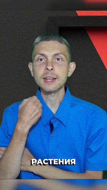 Почему местная еда самая ПОЛЕЗНАЯ для Вас?