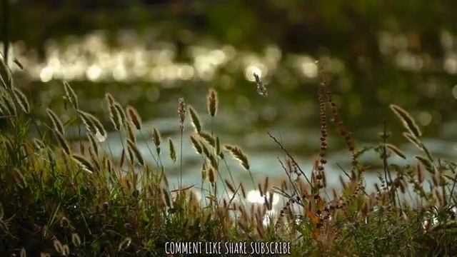 🎶 РУКА ТВОРЦА смотреть онлайн