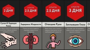 Что, Если Вы Перестанете Писать