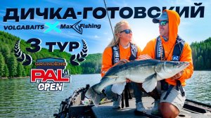 В шаге от мечты | Дичка-Готовский в основной сетке PAL?!