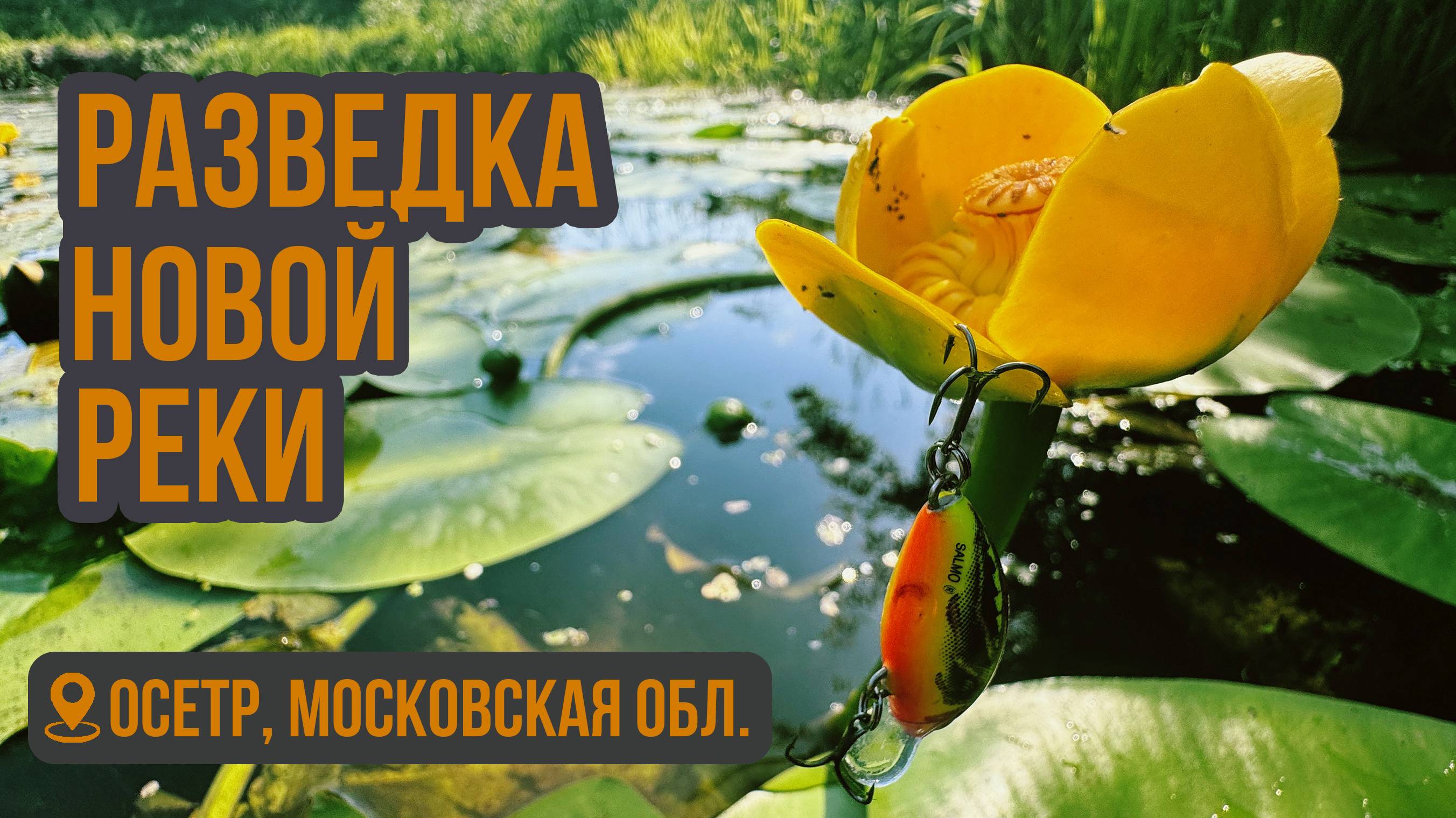 Утрянка на Оке и разведка на реке Осётр.