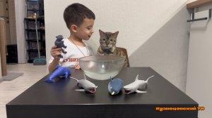 Новые игрушки антистресс Sbabam открываем с Котом Каримом