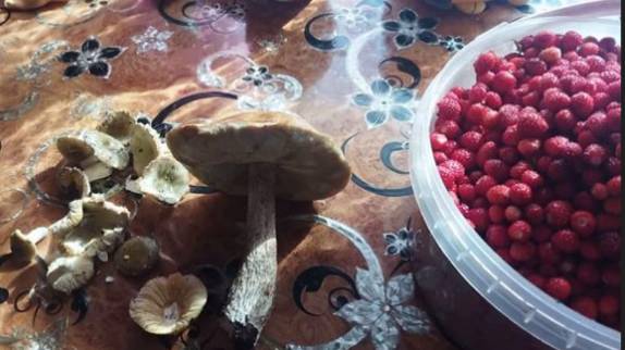 РАННЕЕ УТРО. РАДУГА В НЕБЕ смотреть онлайн