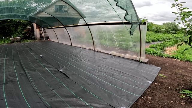 Построил рассадник. смотреть онлайн