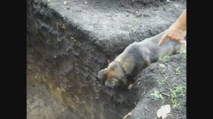 Жизнь в деревне - Хроника дня: Лайфхак ! Выгребная яма из шифера своими руками, 1 серия