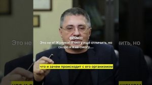 Внимание, фейк!