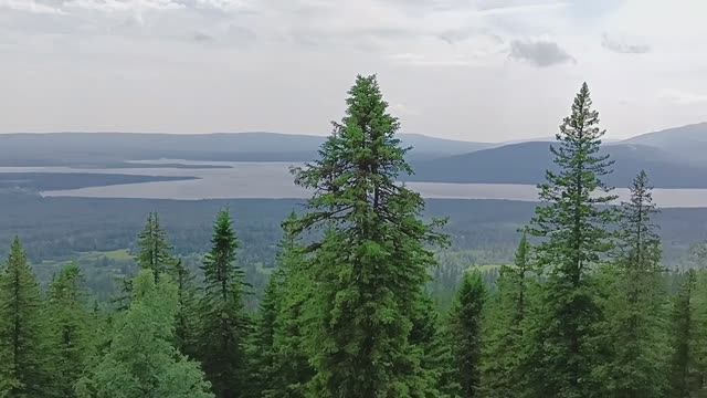 ЗЮРАТКУЛЬ. Поход на хребет по экотропе смотреть онлайн