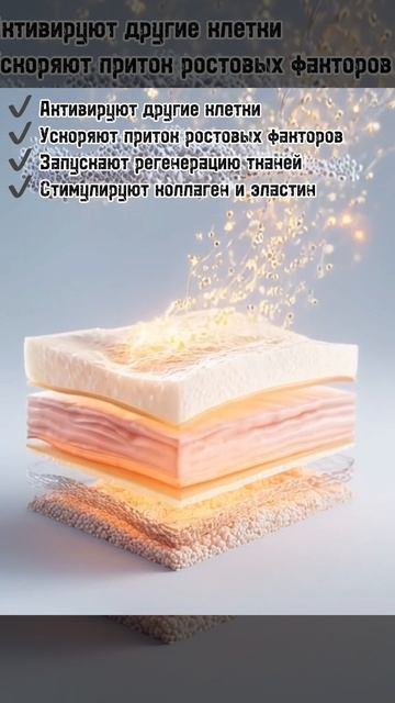 🧬 Цитокины — биоинтеллект вашей кожи смотреть онлайн