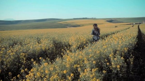 Stephen Sanchez - Until I Found You