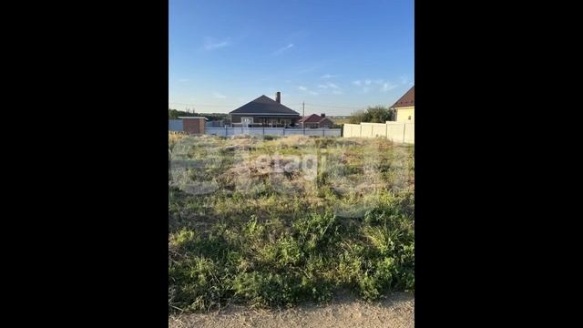 2382242 смотреть онлайн