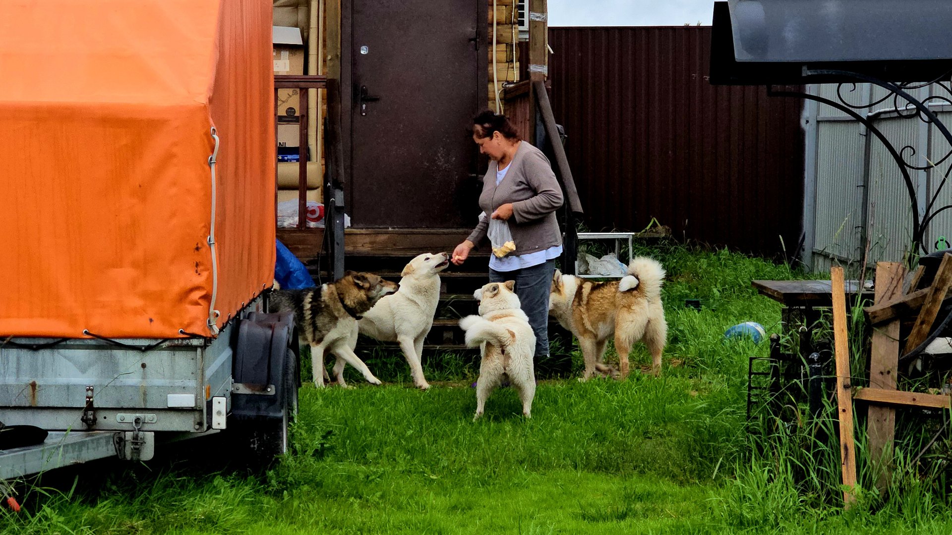 День приезда с Кавказа