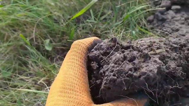 Коп по старине с Minelab X-Terra 705!!! Коп 2020 смотреть онлайн