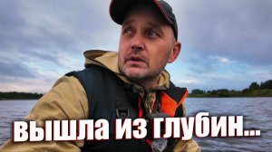 ЩУКА ВЫШЛА НА ОХОТУ — И Я ТОЖЕ! БИТВА НА ОЗЕРЕ!