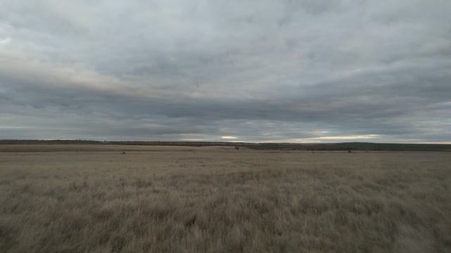 Заброшенный посёлок Ново-Никольский 2-й, Ершовский район.