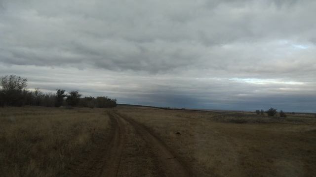 Исчезнувший посёлок Ново-Никольский 1-й, Ершовский район.