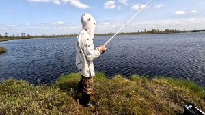 Погода буйствует. На каждом забросе ОКУНЬ.