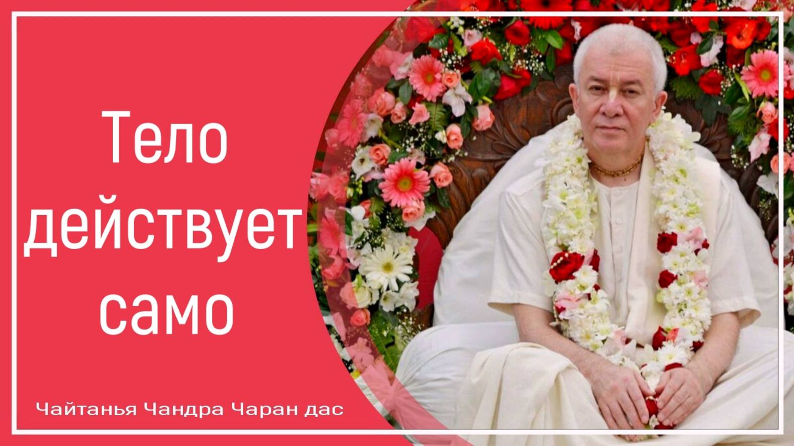 Тело действует само смотреть онлайн