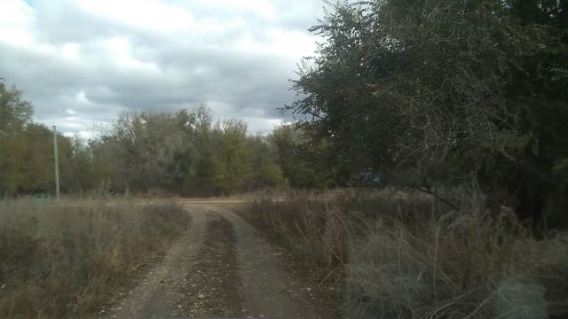 Село Сокорная Балка, Ершовский район.