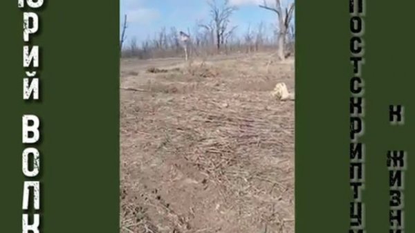 ЮРИЙ ВОЛК ПОСТСРИПТУМ К ЖИЗНИ Через год после смерти