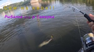 Сом на квок. Рыбалка 26.06, р. Самарка!!