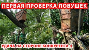 ПЕРВАЯ ПРОВЕРКА ЛОВУШЕК 2025.
