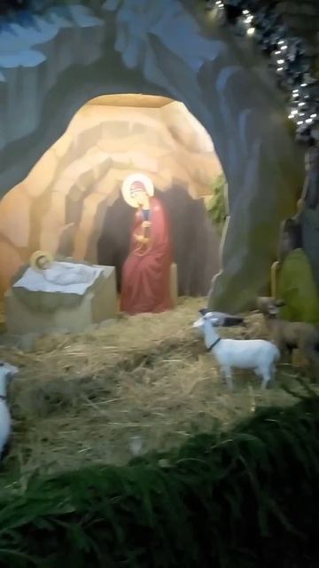 С РОЖДЕСТВОМ, Новым Годом И КРЕЩЕНИЕМ!!!