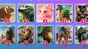 МЕМ! ОПРОС ПО ИТАЛЬЯНСКИМ ЖИВОТНЫМ!