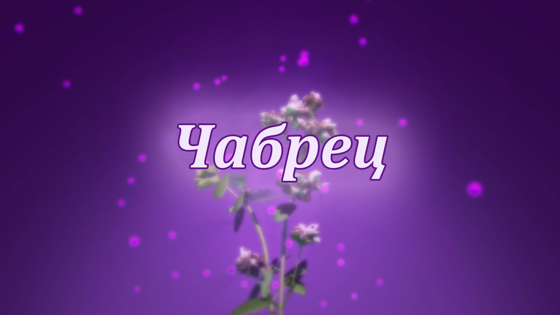 Чабрец — целебная сила природы! смотреть онлайн