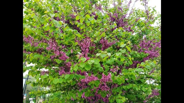 До вечности рукой подать. Поэма. Глава 1