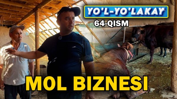 YO’L YO’LAKAY 64-qism. MOL BIZNESI