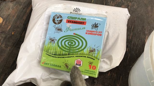 Настурции быть. Сухая подкормка растений в надежде на дождь смотреть онлайн