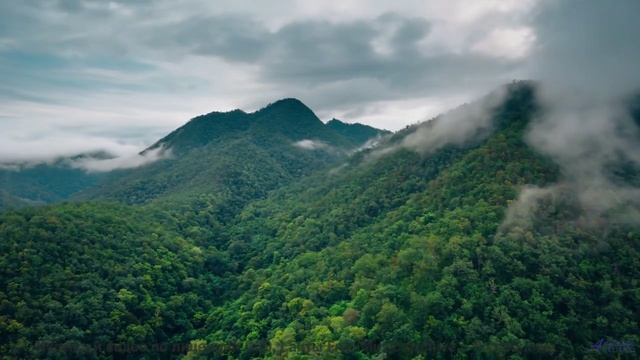 Это видео - откровение для тех, кто ищет гармонию в мире - Chainlink Melody -- Podington Bear -- Sai