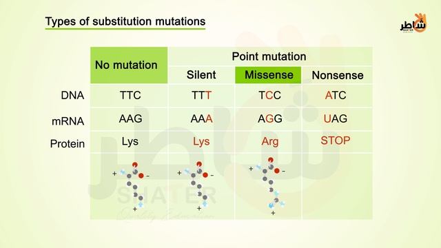 2 mutation смотреть онлайн