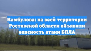 Камбулова: на всей территории Ростовской области объявили опасность атаки БПЛА