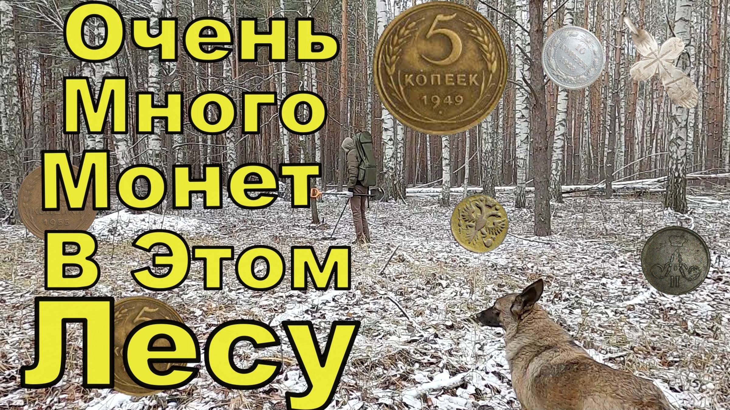 Нашел Множество Монет в Дремучем Лесу. Алиса Указала Путь. Коп 2025