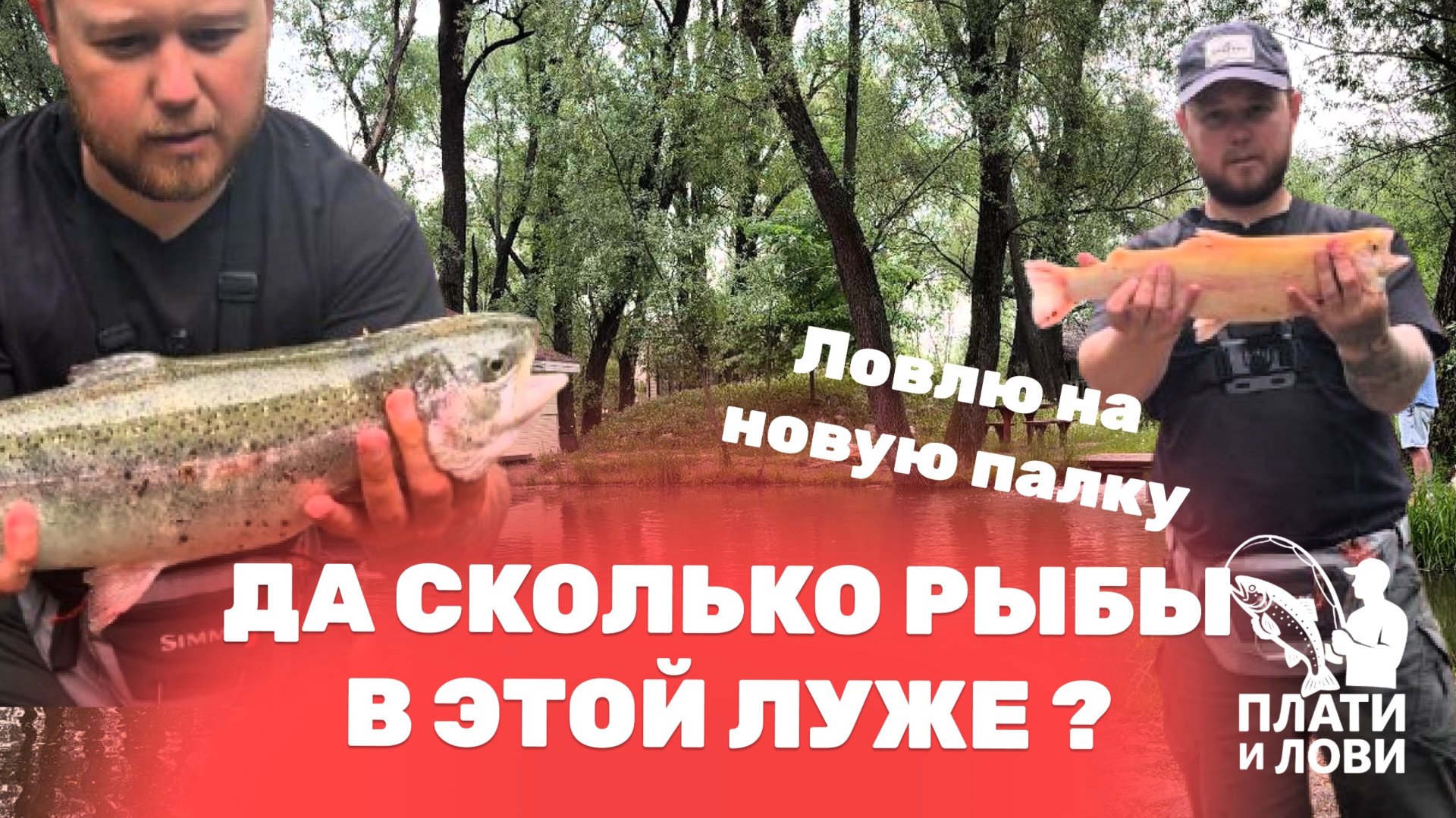 #6 ЛОВЛЮ ФОРЕЛЬ ЛЕТОМ НА ПЛАТНИКЕ. РАЗЛОВИЛ НОВЫЕ СНАСТИ. РК ОСТРОВ смотреть онлайн