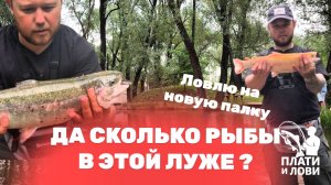 #6 ЛОВЛЮ ФОРЕЛЬ ЛЕТОМ НА ПЛАТНИКЕ. РАЗЛОВИЛ НОВЫЕ СНАСТИ. РК ОСТРОВ